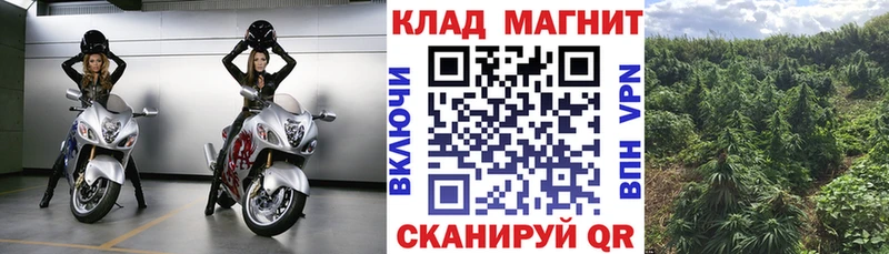 Марихуана Усть-Джегута