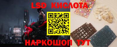 прущие грибы Заволжье