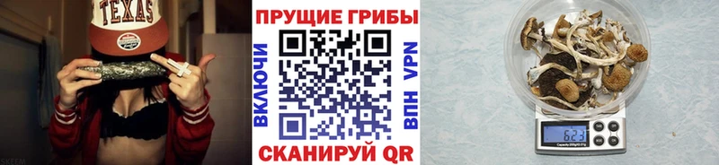 ссылка на мегу сайт  Усть-Джегута  Галлюциногенные грибы прущие грибы 