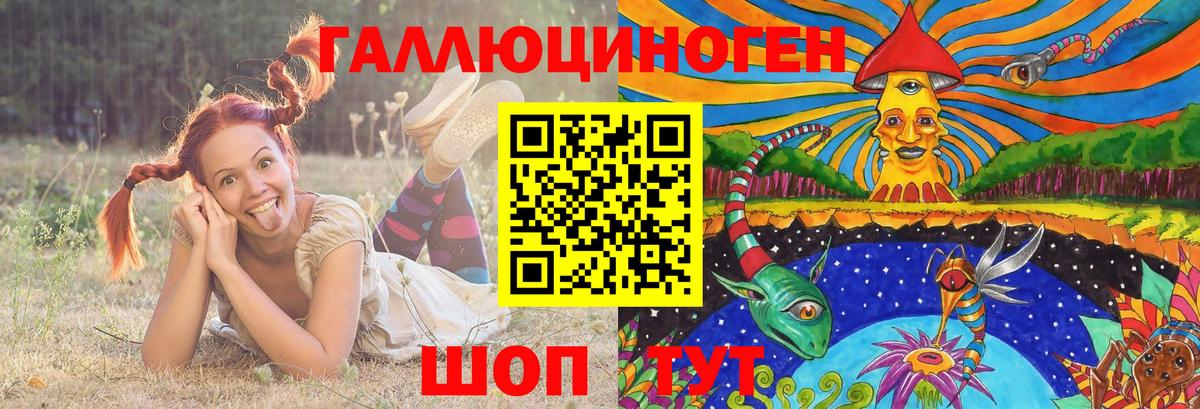 Усть-Джегута  Псилоцибиновые грибы мицелий  Вход с VPN 